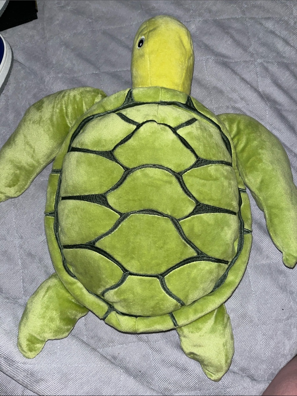 Plush Turtle Pet Toy - Soft Green Turtle Stuffed Animal